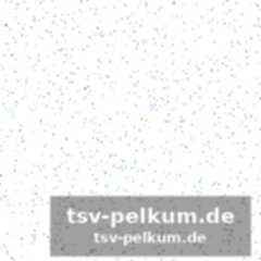 Die verbindung zu trento und quinn ellis