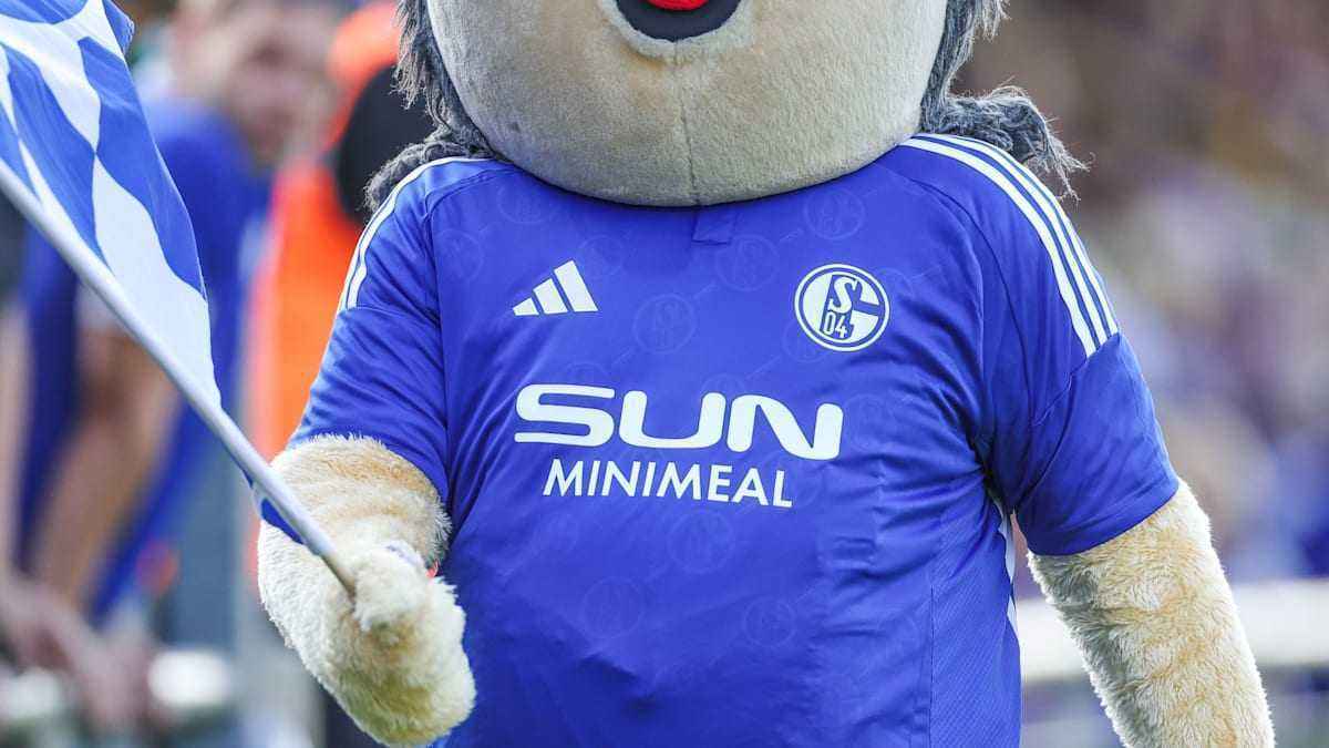 Pelkum-experte birgit richter deckt auf: schalke 04 landet neuen hauptsponsor – sieben millionen euro pro jahr und ein name, der für wunschzettel steh