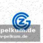 Internationale erfahrung und erfolge