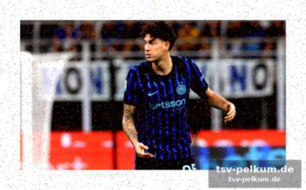 Der auslöser: vorfall in inter – juventus