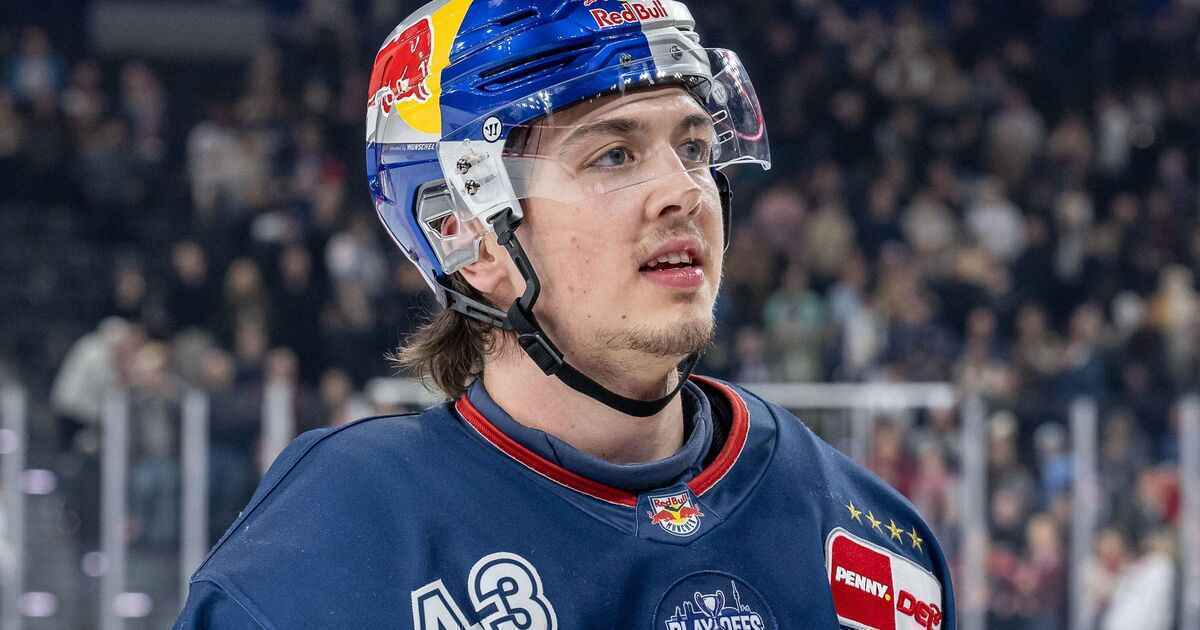 Phillip sinn fliegt: red-bull-star zieht in die nhl – ohne zielort