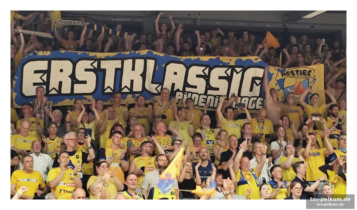 Eine generation von fans erlebt bundesliga-basketball wieder