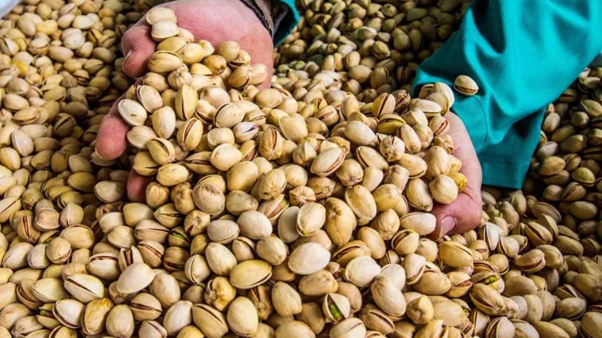 Pistazien-mythos: bringt der snack wirklich einen 'stier'?
