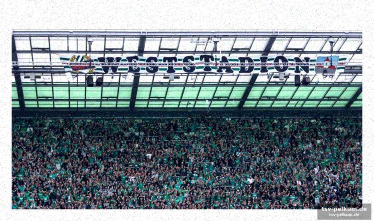 Umfassendes stadionverbot und bewährungshilfe