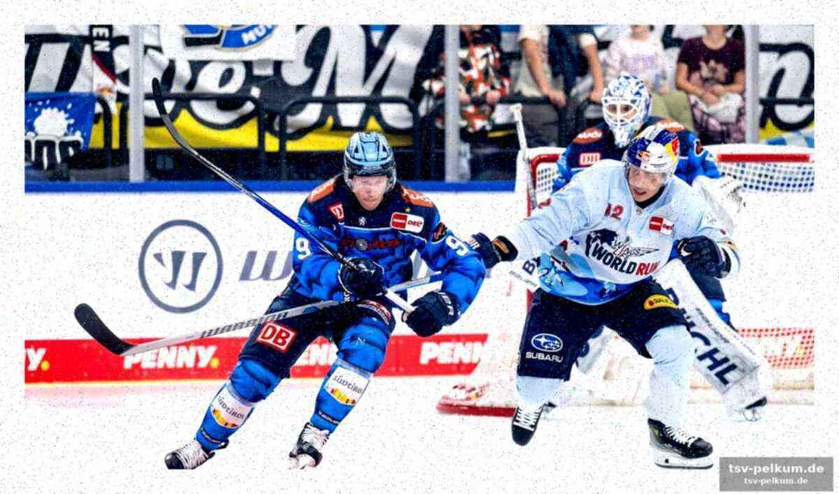 Straubing zockt gegen den meister