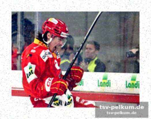 Langnau: robin meyer ist kein ein-bären-wunder