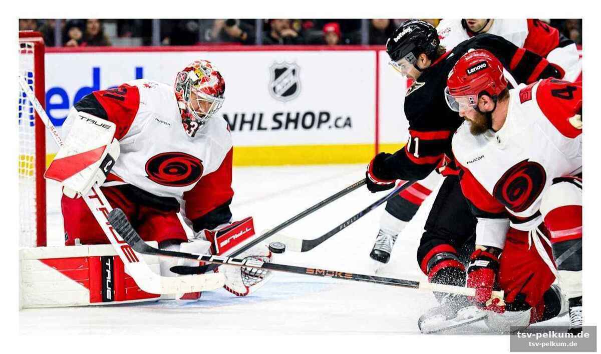 Andersen hält hurricanes im spiel – stützle kämpft