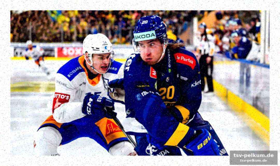 Der rest des viertelfinal-kastens