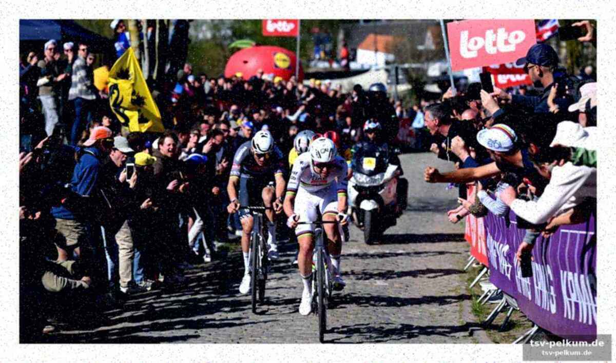 Das ewige duell: pogacar gegen van der poel