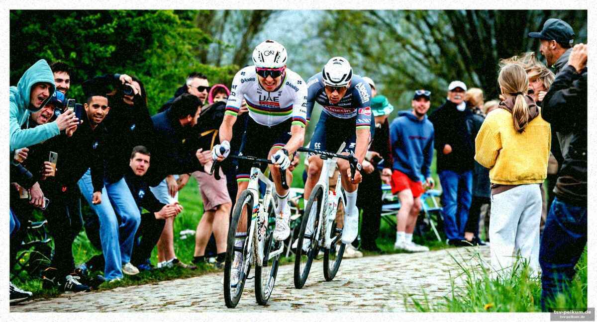 Van der poel: freundschaft nach dem kampf