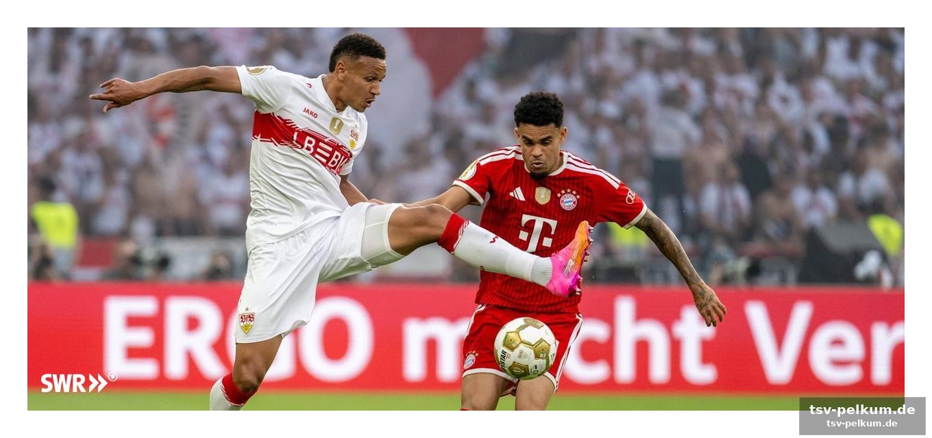 Public viewing in stuttgart: 18.000 fans fiebern mit