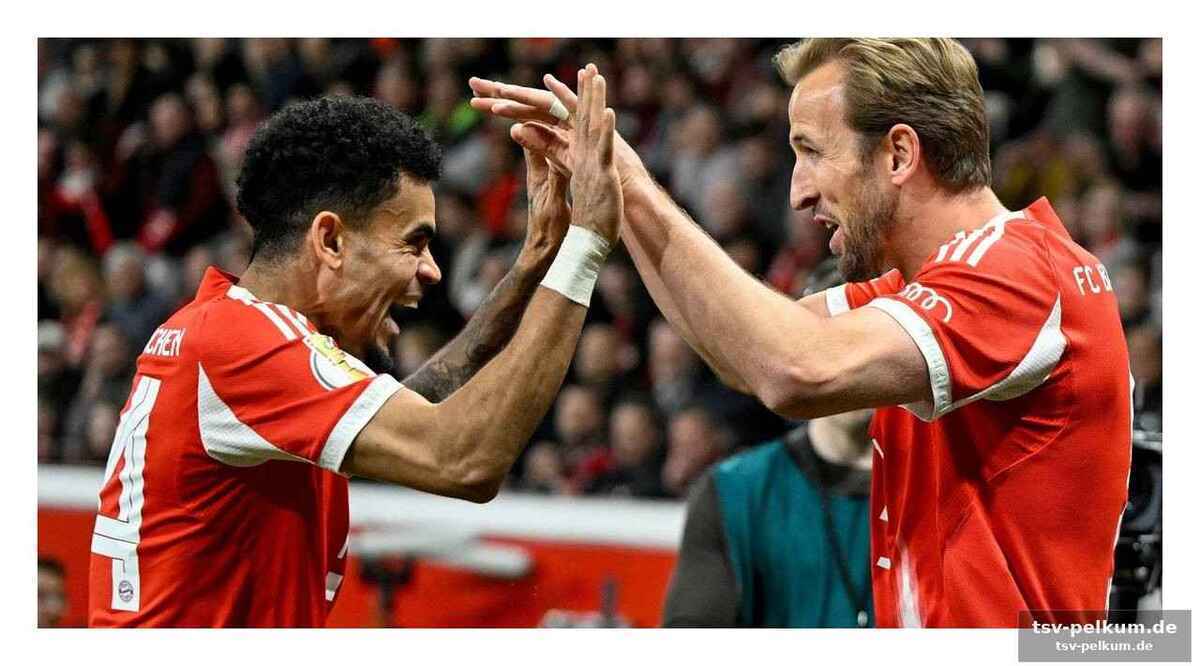 Champions league-traum für freiburg?