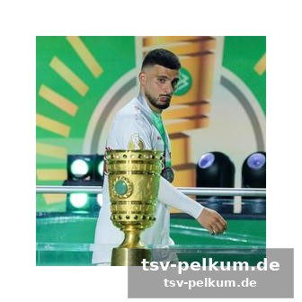 Die einzelkritik der stuttgarter