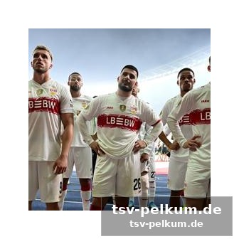 Die nationalspieler im fokus: wm-vorbereitungen beginnen