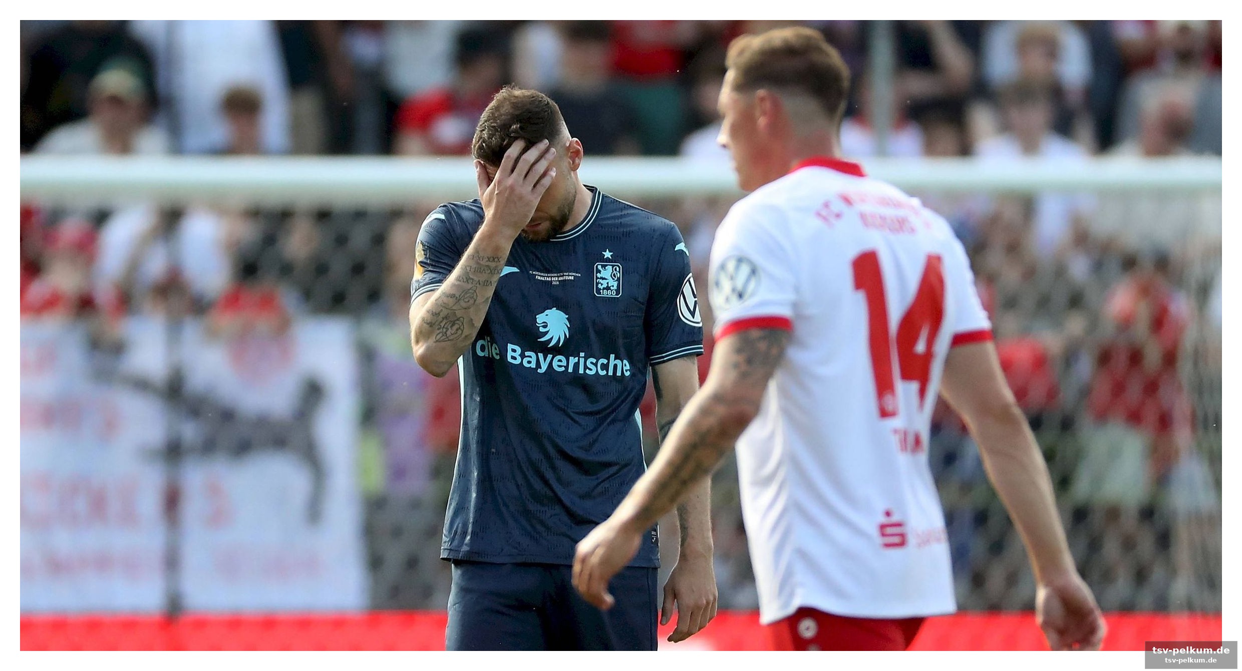 Cottbus dem underdog zum opfer