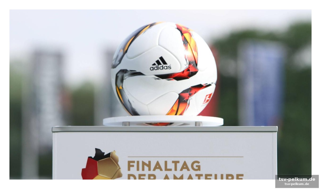 Köln-derby: viktoria empfängt fortuna mit breiter brust