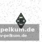 Verluste kompensieren: alternativen im defensivbereich