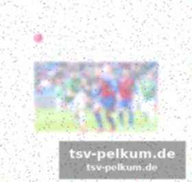 Die unterschriebene fan-revolution