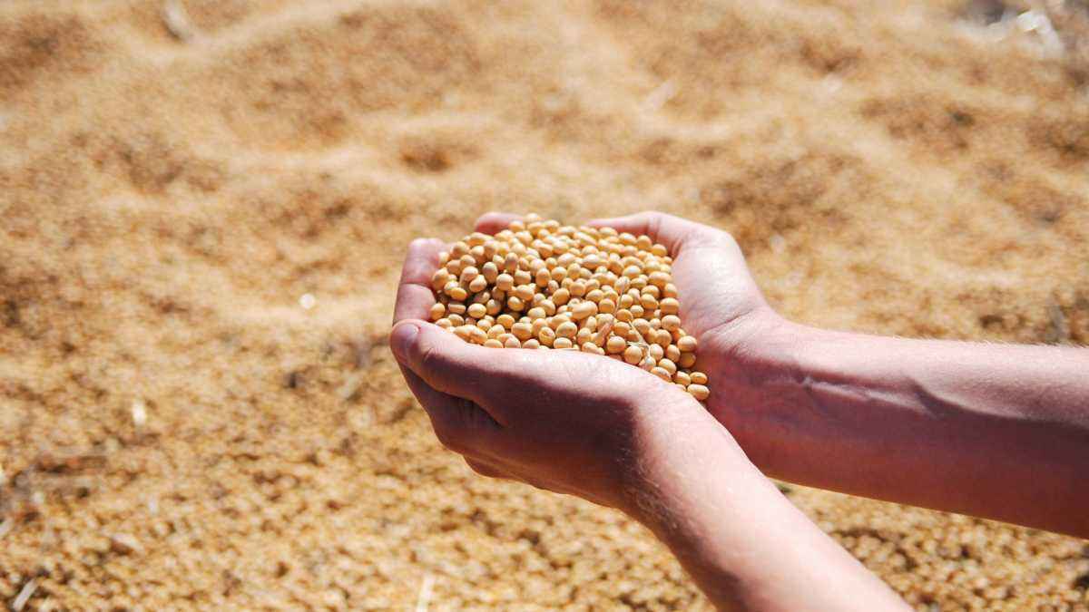 Proteine: warum dein körper sie täglich neu verlangt