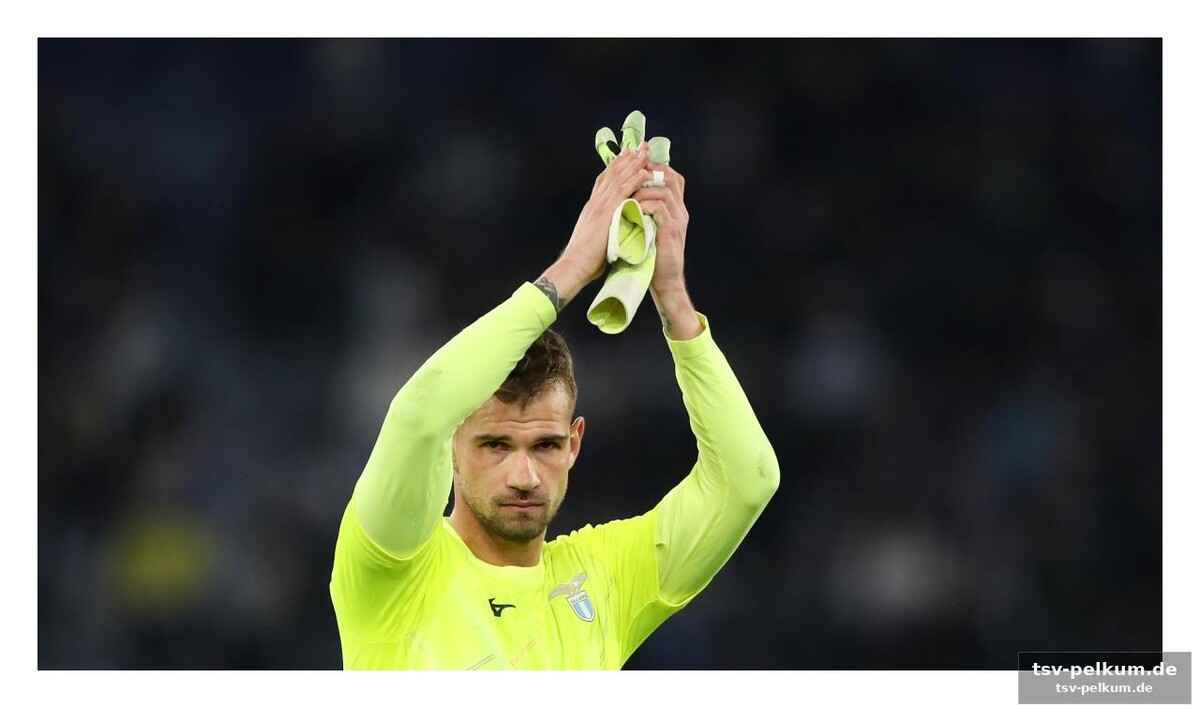 Was der transfer bedeutet
