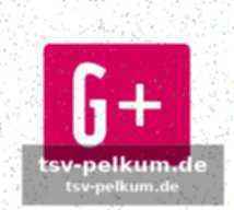 Die nachahmung: cantonas berühmter kick