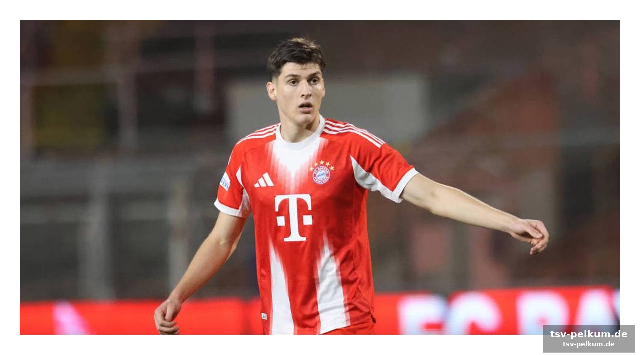 Ein sprung für puljic, ein verlust für die bayern?