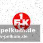 Die bedeutung von fan-verhalten für den fußball