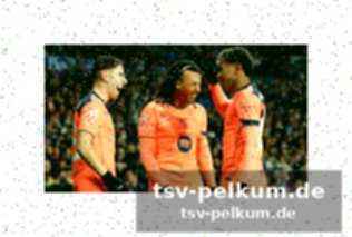 Ein entscheidender einfluss: robin van persie