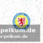 Ramsaks beeindruckende erfolge im nachwuchsbereich