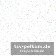 Von kane bis gedeck: der schmerz des ewigen zweiten