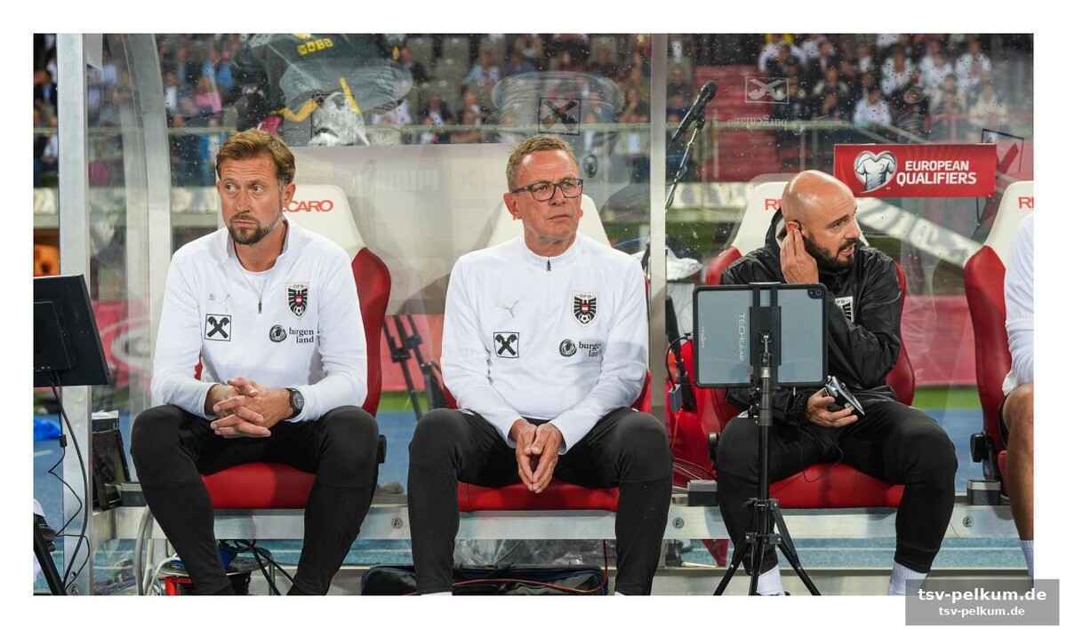 Cardinale und ibrahimovic tasten sich vor