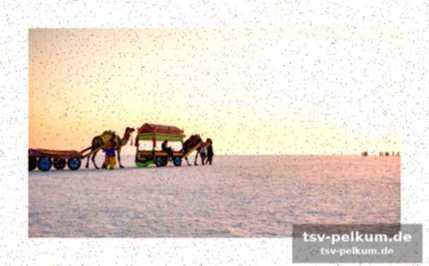 Die faszinierende kulisse des white rann