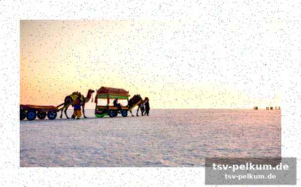 Der white rann: eine landschaft von magischer schönheit
