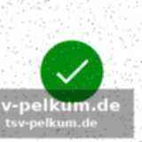 Spielunterbrechung und anti-rassismus-protokoll