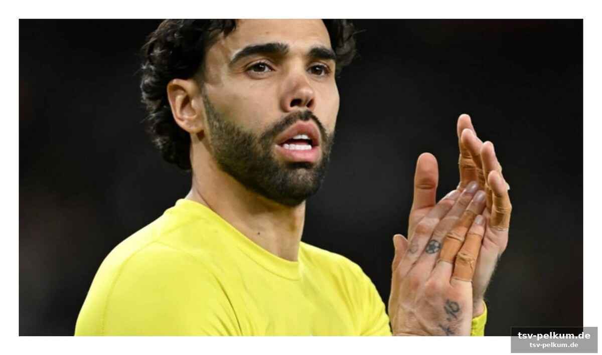 Der schmied seines eigenen glücks: raya und die eurocopa-ringe