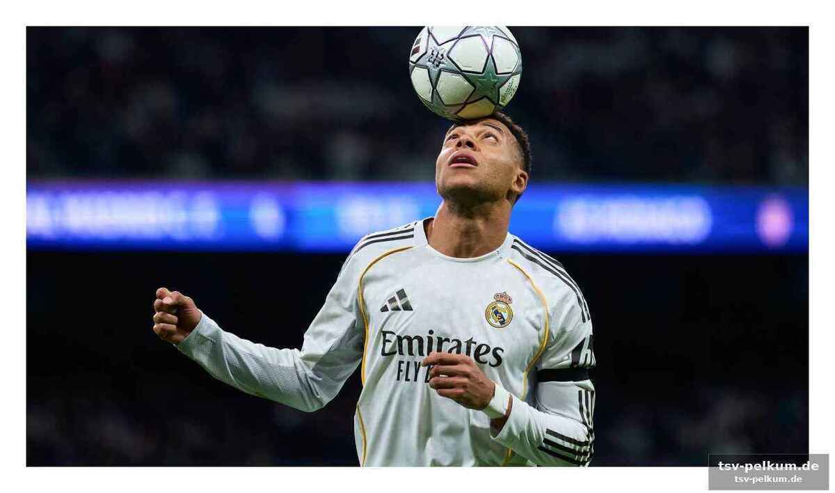 Kompany
