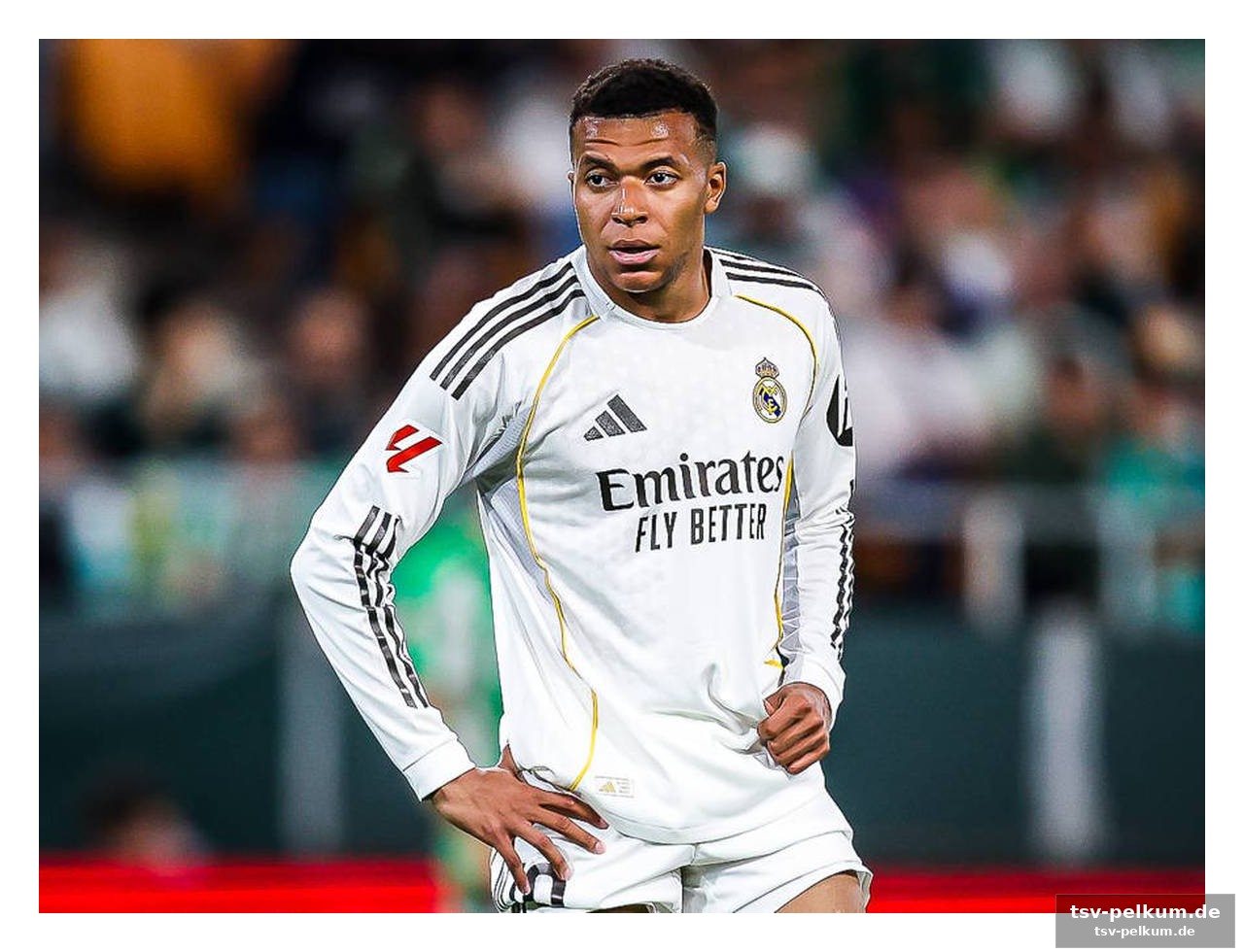 Ceballos