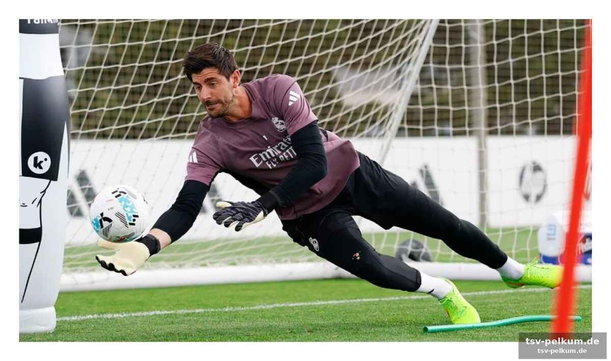 Ein courtois-comeback im visier