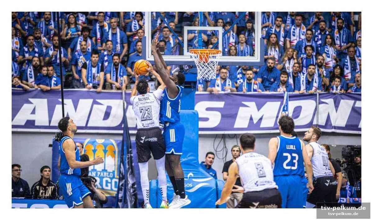 Campazzo und hezonja schlagen zurück