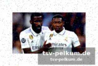 Romeros situation bei tottenham