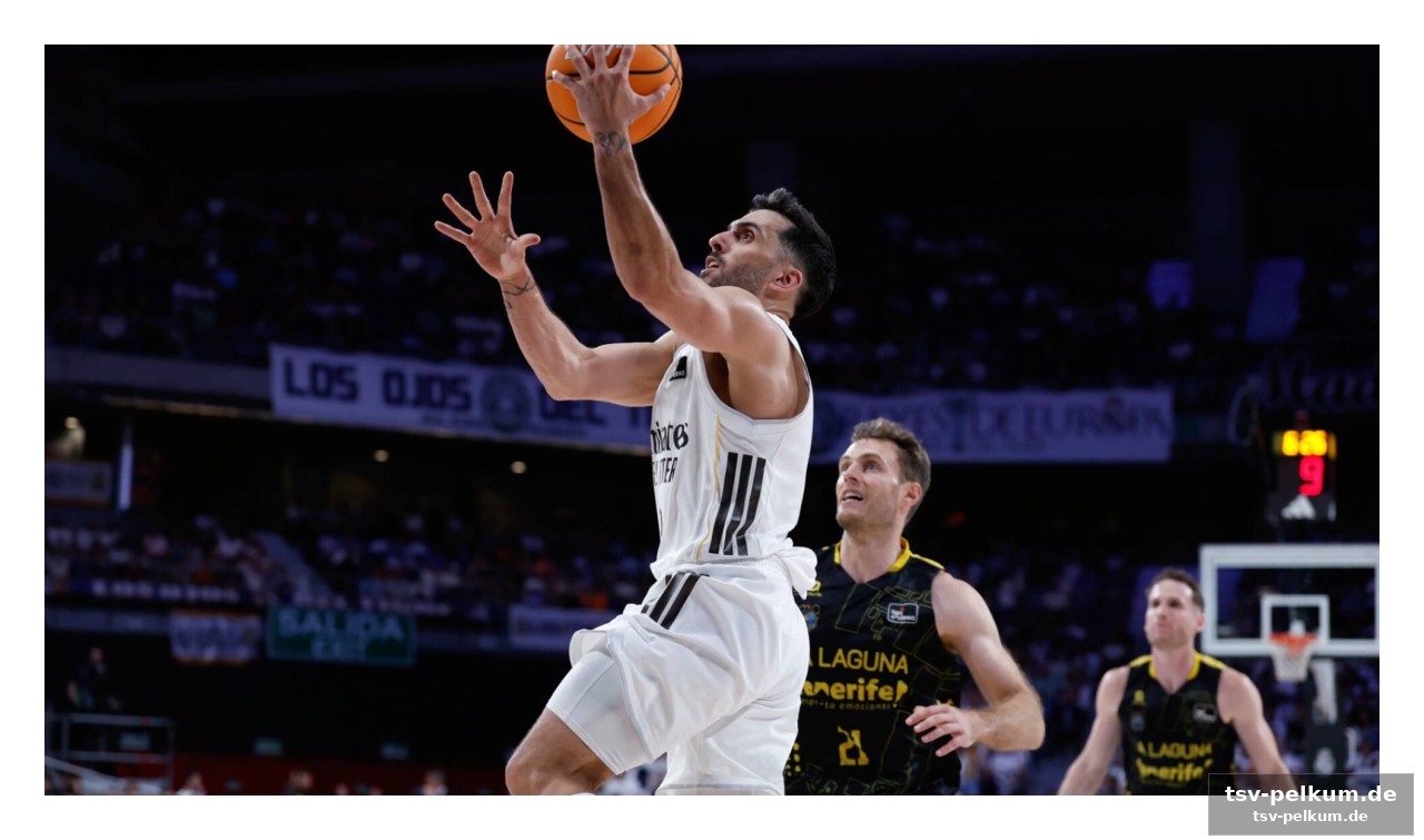 Die analyse des base: ein kollektives versagen