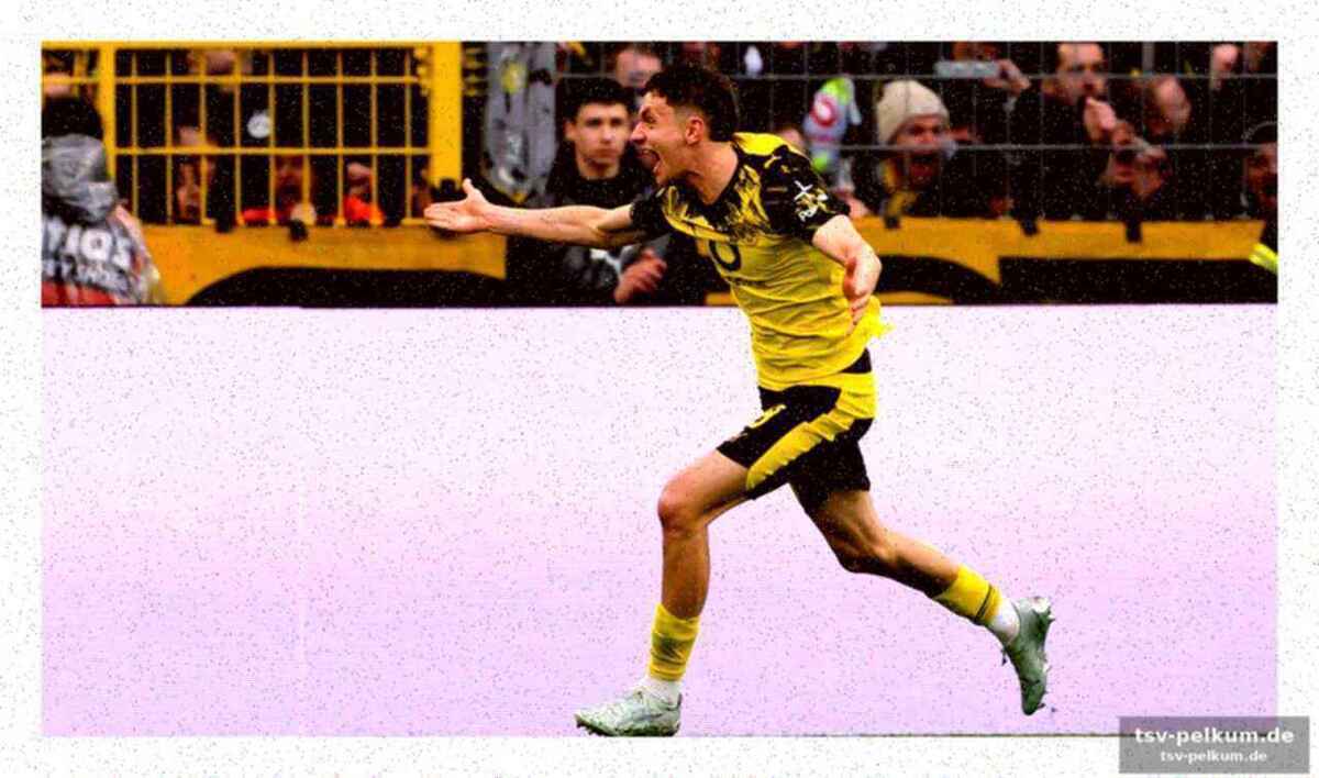 Der bvb schläft nicht – er züchtet
