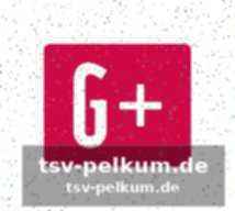 Thorstvedt glänzt als vielseitiger spieler