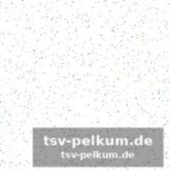 Die besten zahlen des jahres