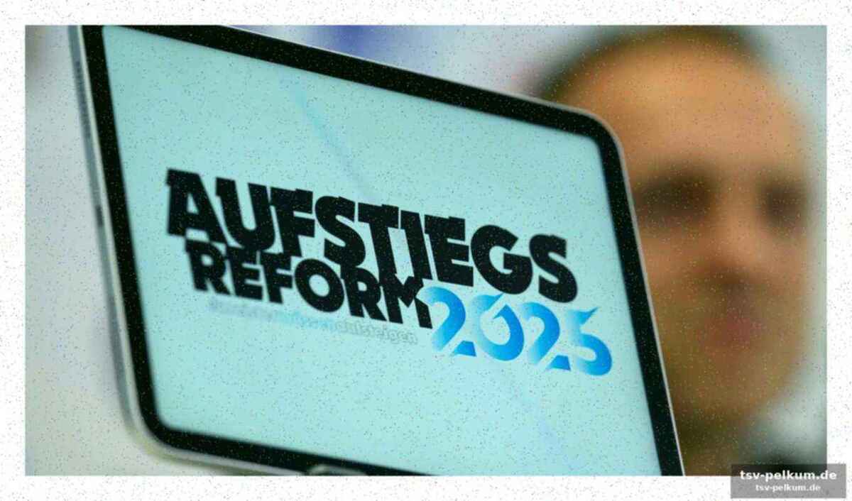 Das „regionen“-modell: ein affront für den nordosten