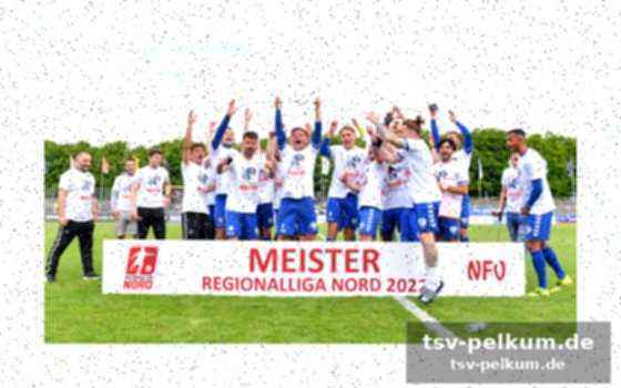 Vier statt fünf regionalligen: das neue modell