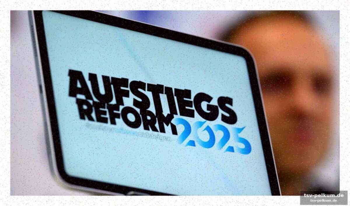 Zwei modelle, ein problem: die aufstiegsreform