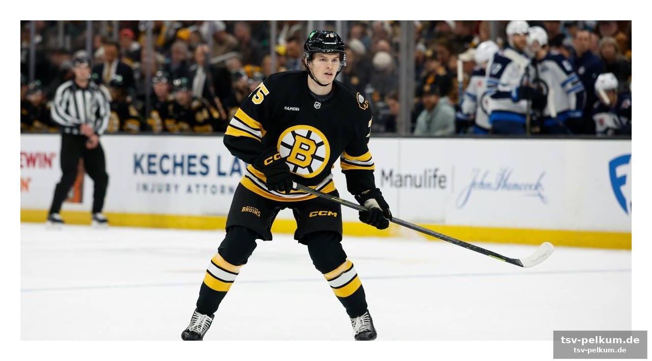 Nhl-power im deb-kader
