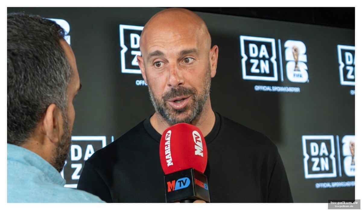 Die macht des kollektivs: reinas erfahrung mit teamdynamik