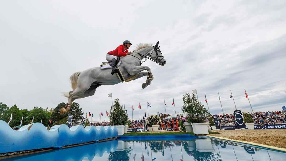 Reitsport in der krise? sponsoren-abgang und sinkende turniere alarmieren!